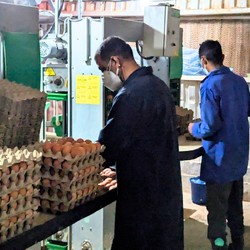 Éducation inclusive, hygiène et sécurité alimentaire Image 8