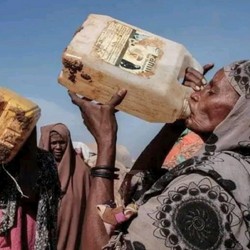 Soudan: Non seulement de l'aide, mais aussi la préservation  ... Image 4