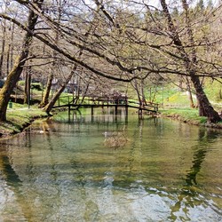 Via Delle Cascate Imagen 10