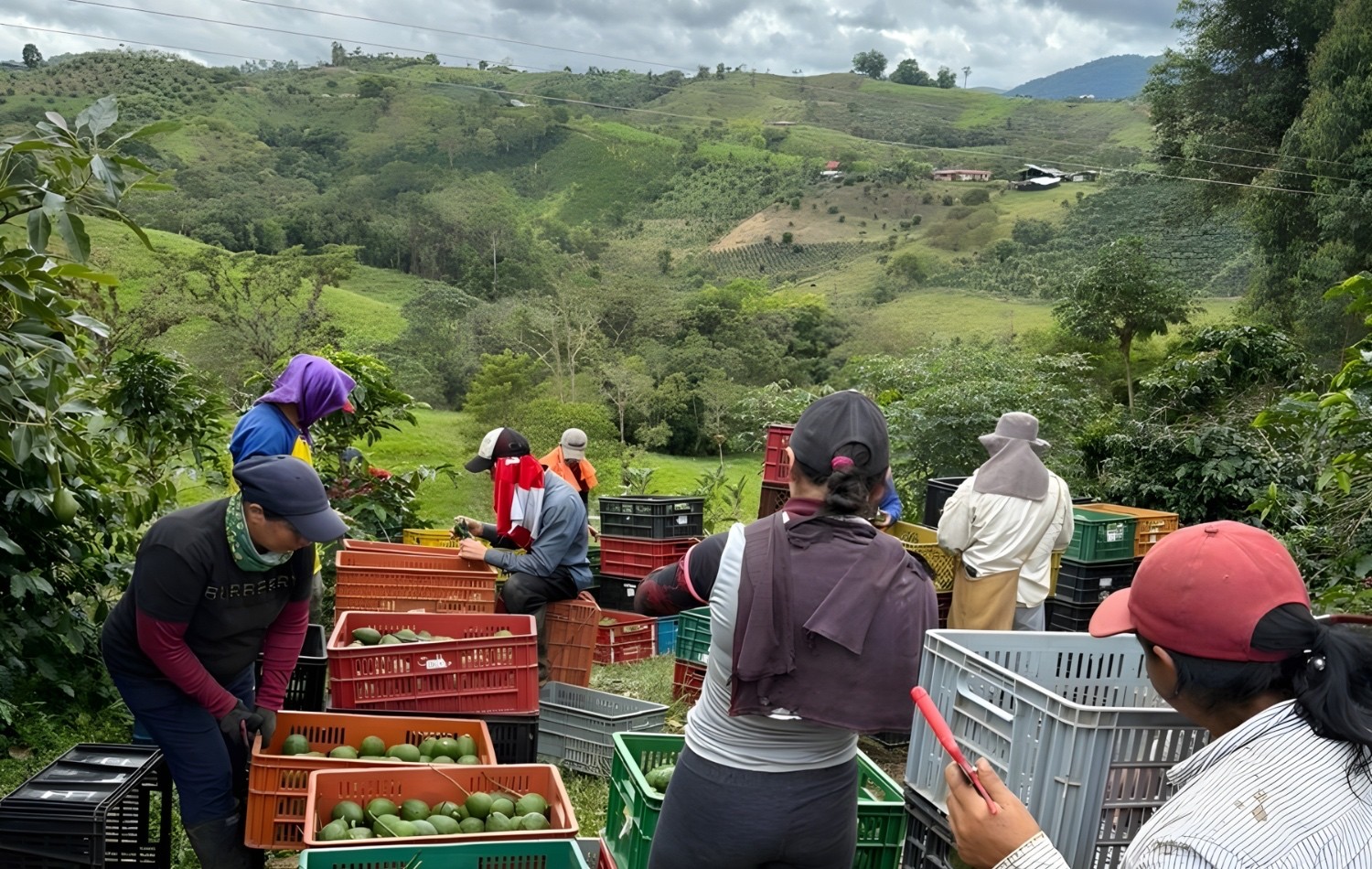 Agrocadenas: lo sviluppo territoriale Italia-Colombia promosso a Macfrut 2026
